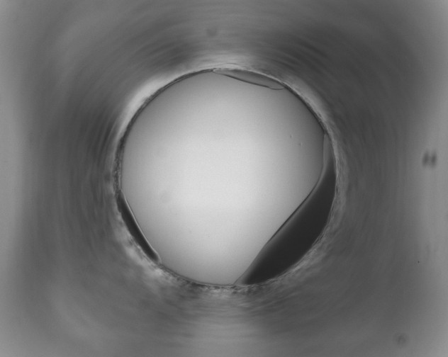 X0000111221104200907020954