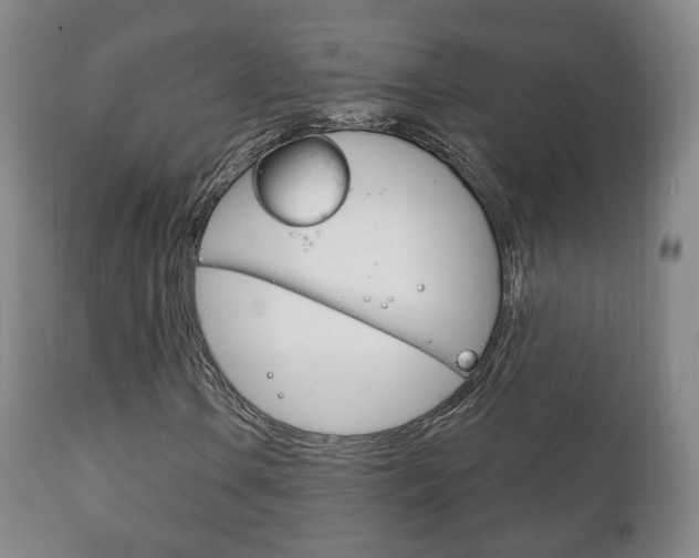 X0000111221106200907020953