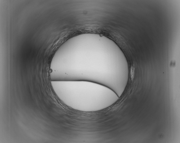 X0000111221107200907020953