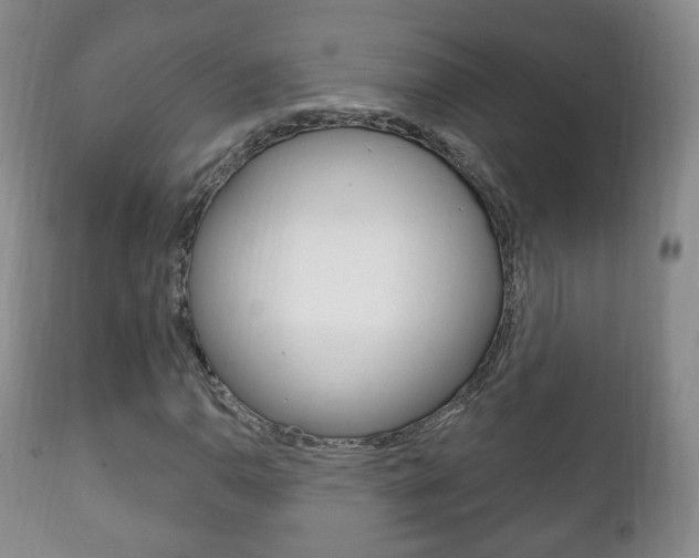 X0000111221110200907020953