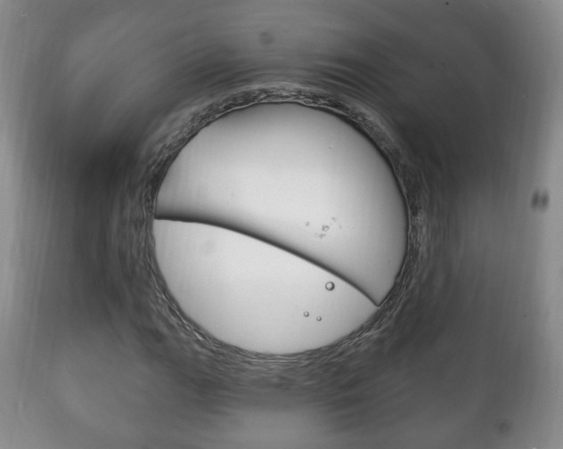 X0000111221111200907020953