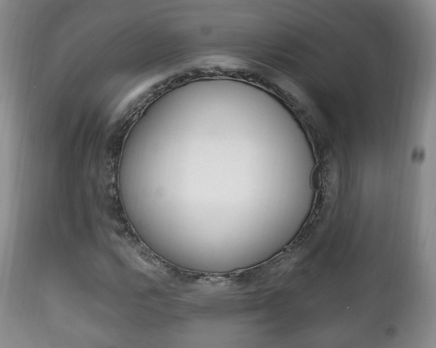 X0000111221112200907020953
