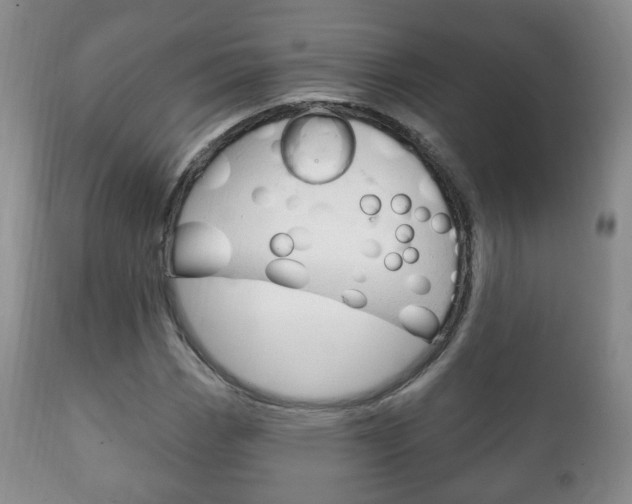 X0000111221113200907020953