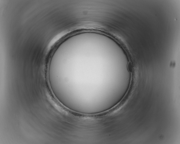X0000111221114200907020953