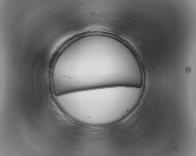 X0000111221115200907020953