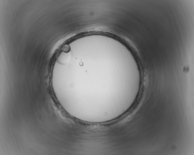 X0000111221117200907020953