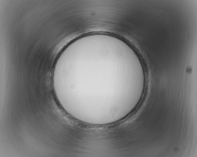 X0000111221121200907020953
