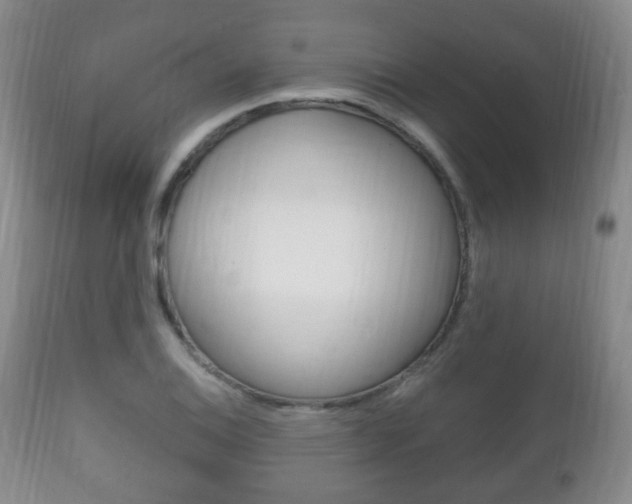 X0000111221124200907020953