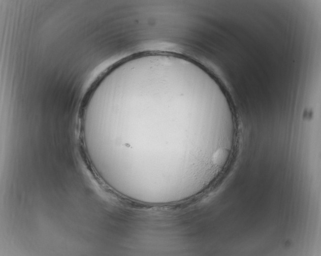 X0000111221125200907020953