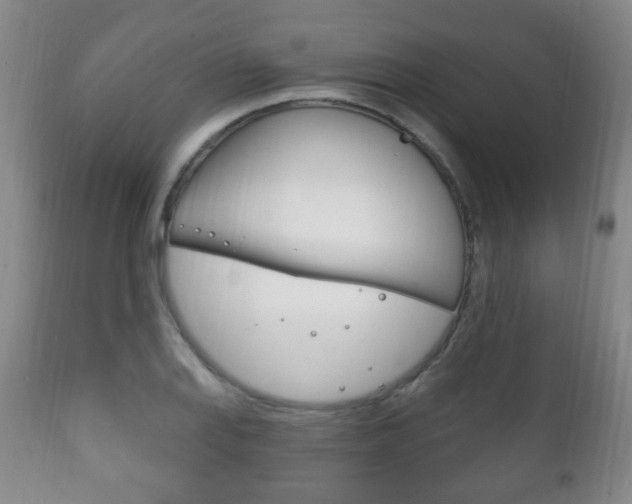 X0000111221127200907020953