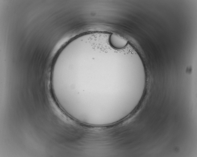 X0000111221130200907020953