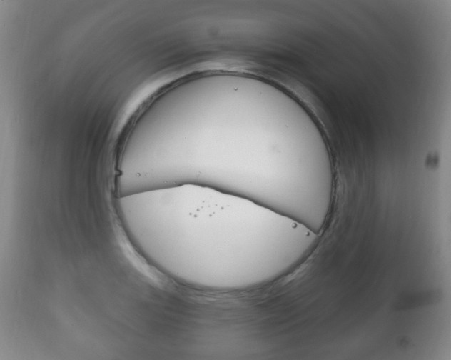 X0000111221131200907020953