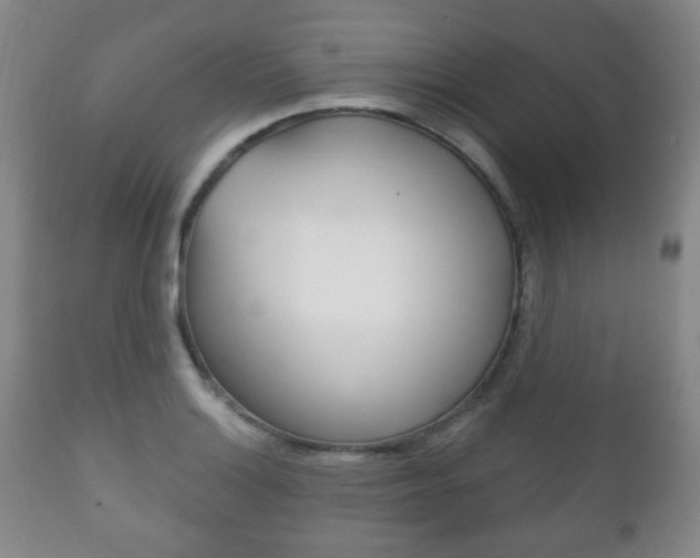X0000111221132200907020953