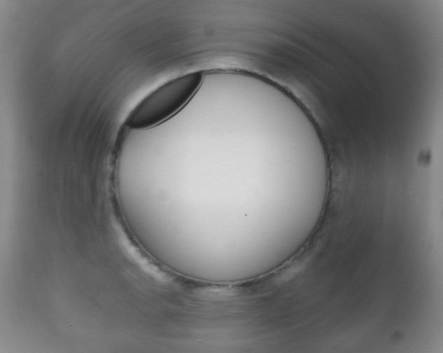 X0000111221134200907020954