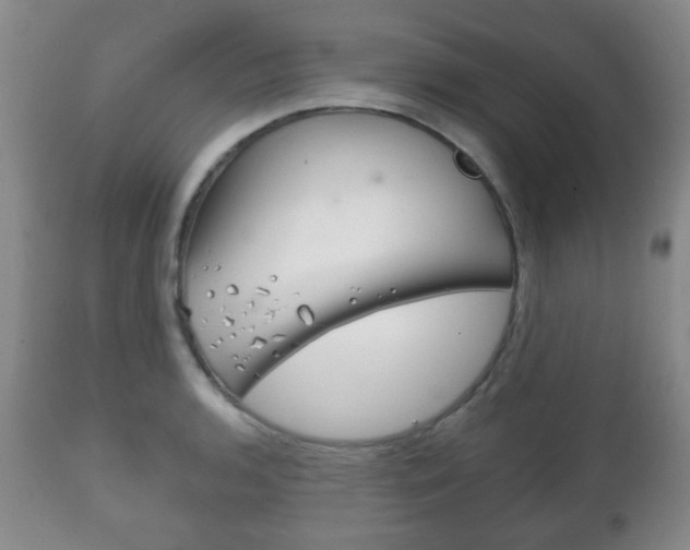 X0000111221136200907020954