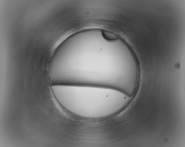 X0000111221137200907020954