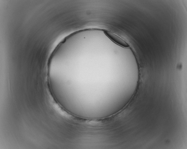 X0000111221140200907020954