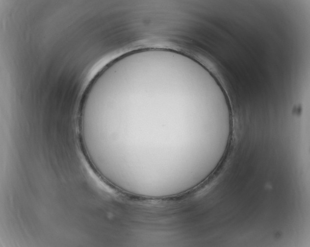 X0000111221141200907020954