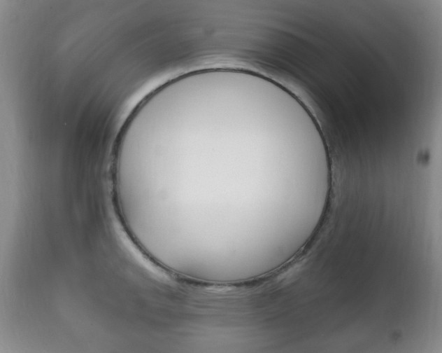 X0000111221142200907020954