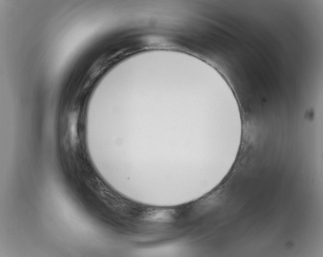 X0000111221150200907020954