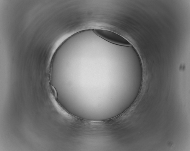 X0000111221152200907020954