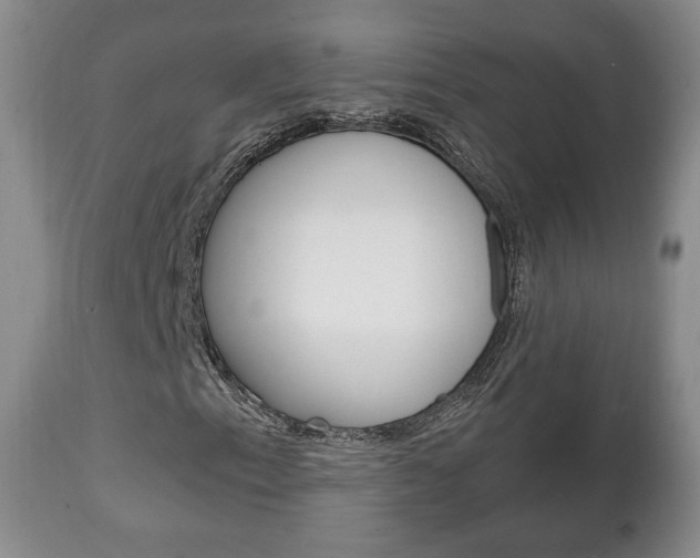 X0000111221153200907020953