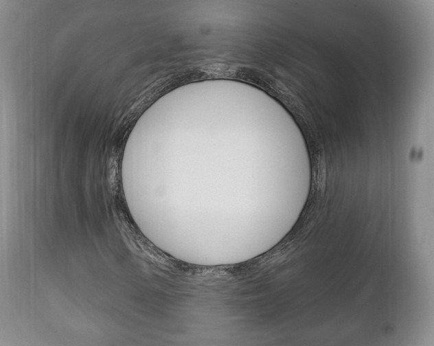 X0000111221154200907020953