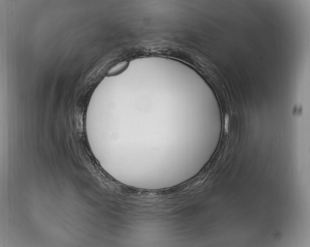 X0000111221155200907020953