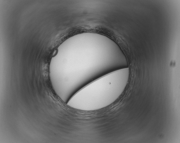 X0000111221156200907020953