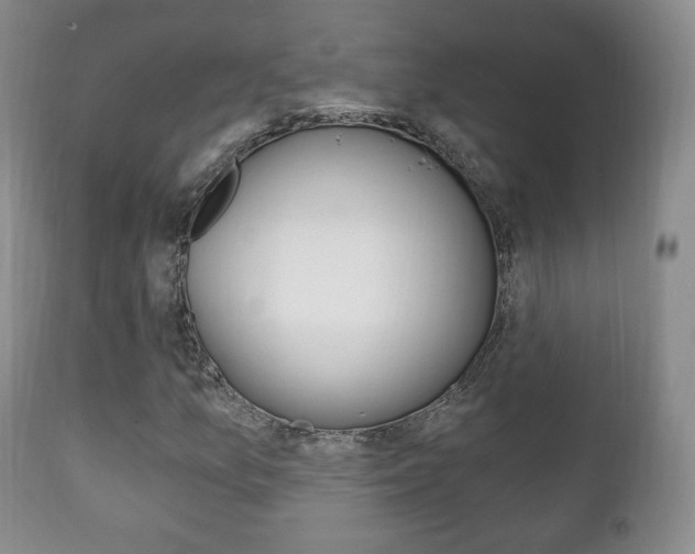 X0000111221157200907020953
