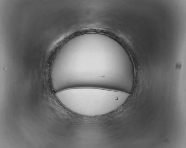 X0000111221159200907020953