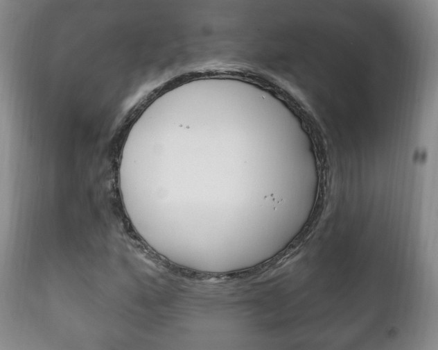 X0000111221160200907020953