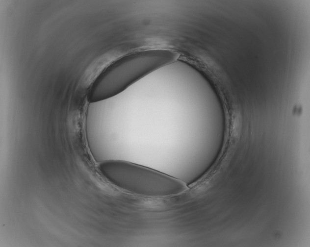 X0000111221161200907020953