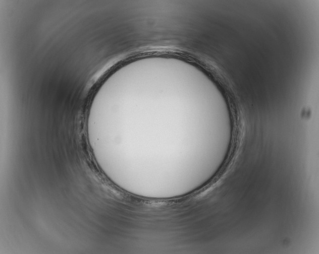 X0000111221162200907020953