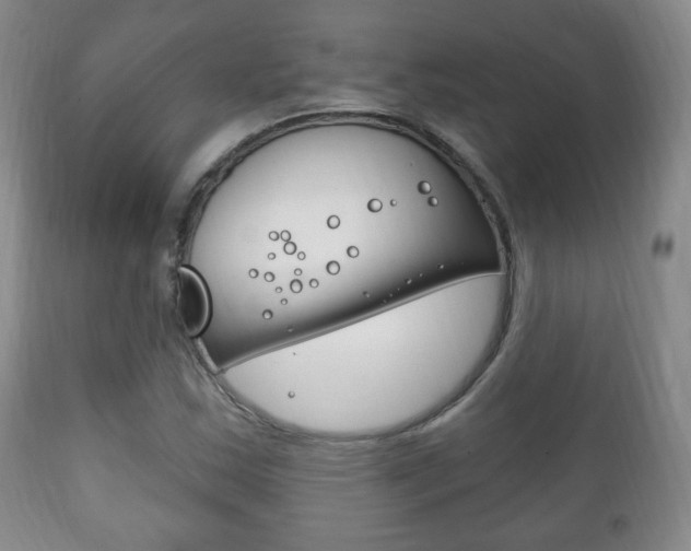 X0000111221163200907020953