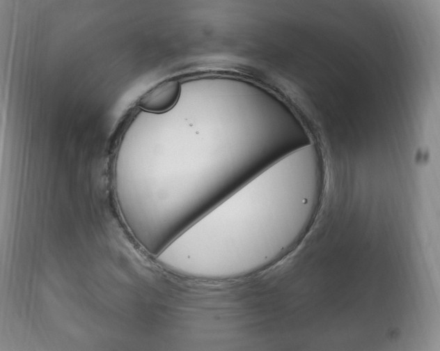X0000111221164200907020953