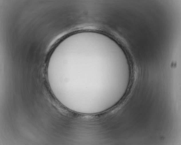 X0000111221166200907020953