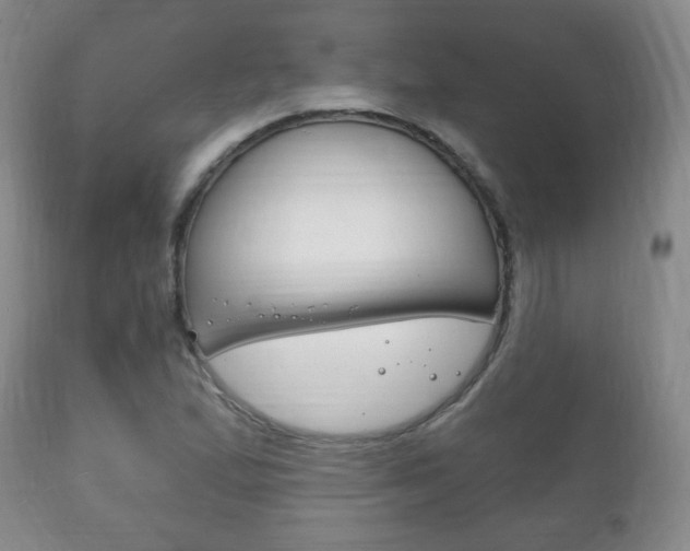 X0000111221167200907020953