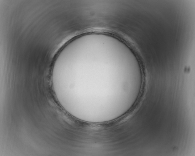 X0000111221170200907020953