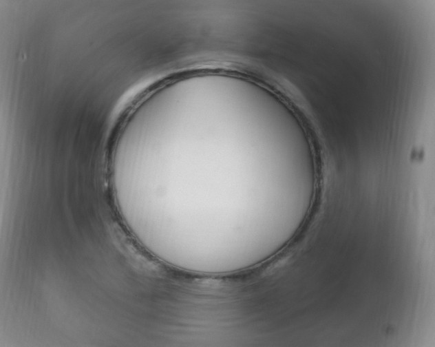 X0000111221172200907020953