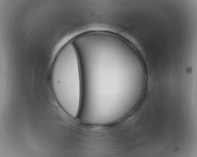 X0000111221175200907020953