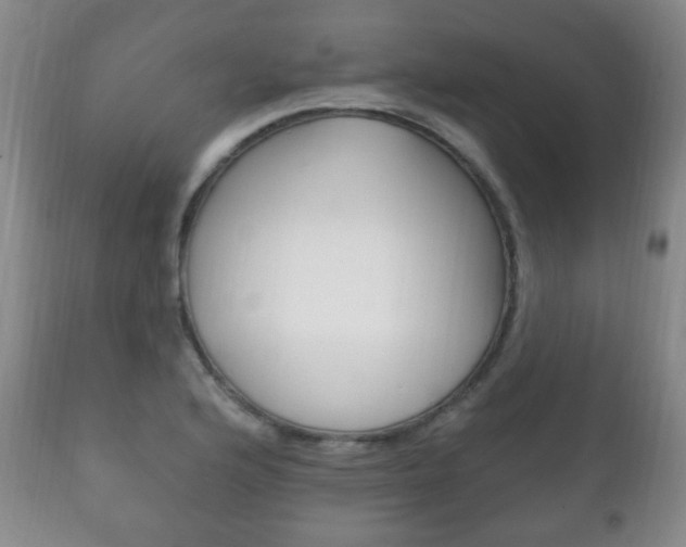 X0000111221176200907020953