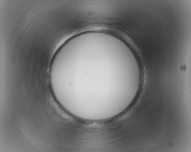 X0000111221178200907020953