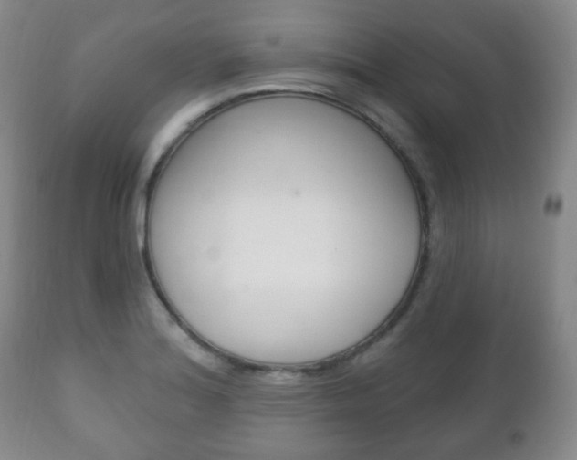 X0000111221180200907020953