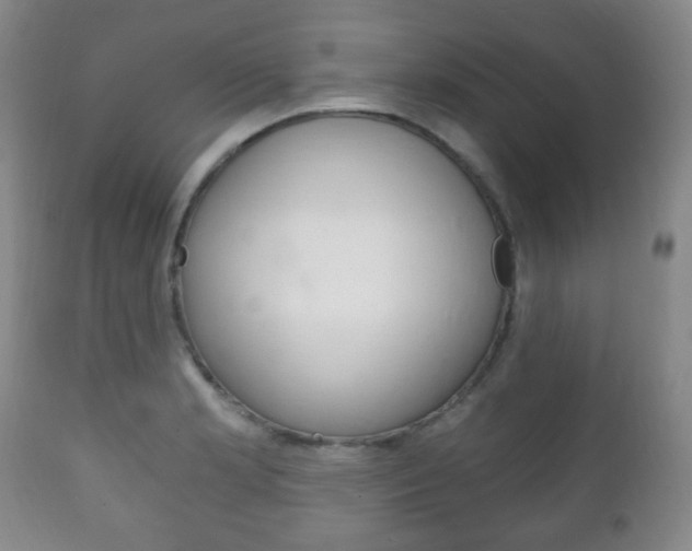 X0000111221181200907020953