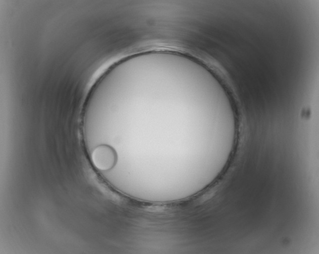 X0000111221182200907020953