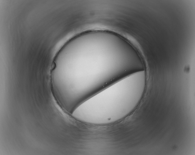 X0000111221183200907020953