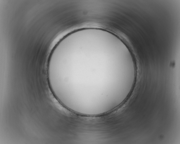 X0000111221192200907020952