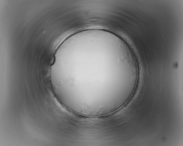 X0000111221193200907020952