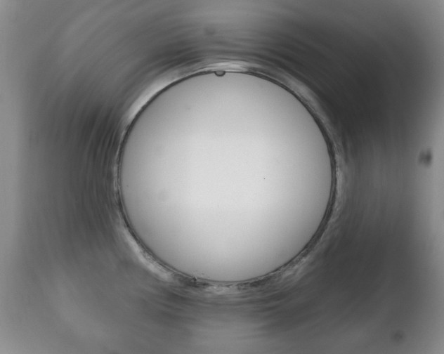 X0000111221194200907020952